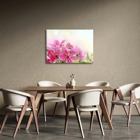 Tablou - Flori roz (70x50 cm)