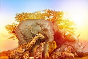 Tablou - Animale africane (90x60 cm)