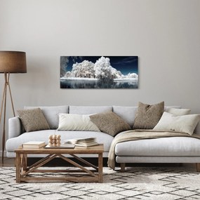 Tablou - Albă ca Zăpada Albă ca Zăpada Copaci (120x50 cm)