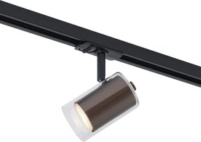 Spot modern bronz închis cu sticlă transparentă pentru sistem de șină monofazat - Iconic Lloyd