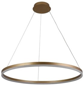 Lustră LED dimabilă pe cablu LED/55W/230V 3000-6500K + telecomandă