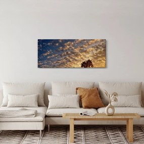 Tablou - Palmieri între nori (120x50 cm)