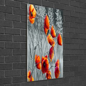 Pictura pe sticlă acrilică Wildflowers maci