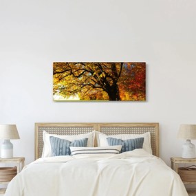 Tablou cu toamna (120x50 cm)