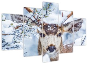 Tablou - Cerbul catâr (150x105 cm)