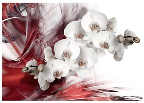 Fototapet - Orchid in red