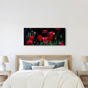 Tablou - Dansul macilor (120x50 cm)