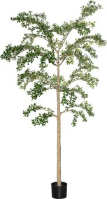 Copac artificial realist Bucida buceras Shady Lady, dimensiuni multiple - PotteryPots mărimea: XL - ø 80 cm | înălțime 280 cm