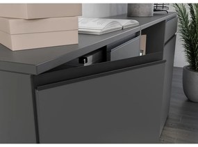 Dulap gri antracit 81x120 cm Bedano – Germania