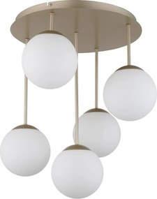 Lustra aplicata moderna HARMON 5L sampanie/alb