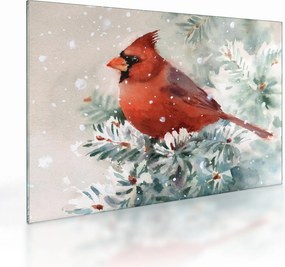 Tablou pe sticlă - Cardinal (70x50 cm)