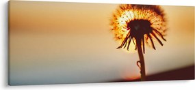 Tablou - Păpădie la apus de soare (120x50 cm)