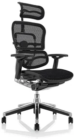 Scaun de birou - ERGOHUMAN2 PDH ULTRA BLACK FRAME W09-01+ALU BASE - precomanda 7-12 zile (Termen de livrare: 7 zile)