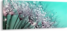 Tablou - planta cu rouă (120x50 cm)