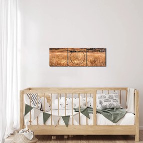 Tablou cu câmp (cu ceas) (90x30 cm)