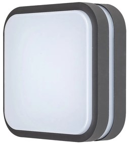 Aplica LED pentru iluminat exterior moderna IP44, 28,5x28,5cm, Hamburg 8850 RX