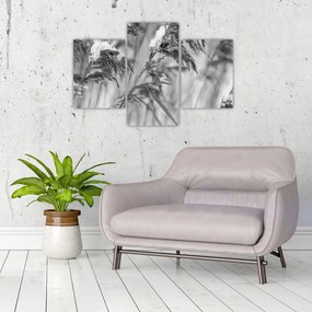 Tablou - Tei,alb-negru (90x60 cm)