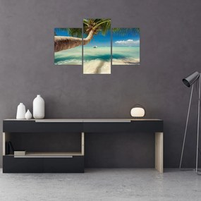 Tablou - Mare curată cu palmier (90x60 cm)