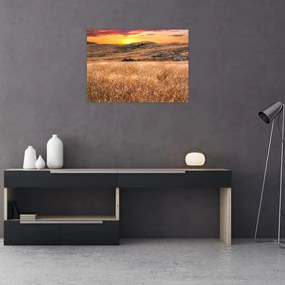 Tablou pe sticlă cu câmp (70x50 cm)