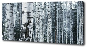 Tablou canvas Mesteacan