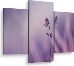 Tablou - Fluturi mov (90x60 cm)