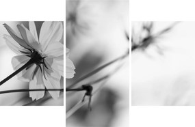 Tablou - Flori alb-negru (90x60 cm)
