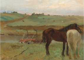 Tablou - Edgar Degas, Horses in a Meadow, reproducere (70x50 cm)