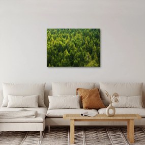 Tablou - Pădure deasă (70x50 cm)