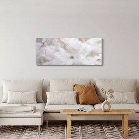 Tablou - Pene albe (120x50 cm)