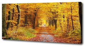 Tablouri tipărite pe pânză Pădure în toamna