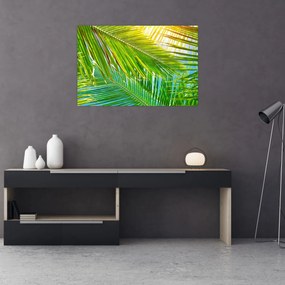 Tablou - Frunze de palmier (90x60 cm)