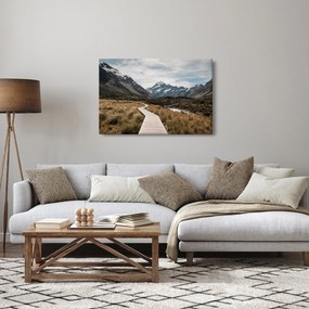 Tablou - Poteca în valea muntelui Mt. Cook (90x60 cm)
