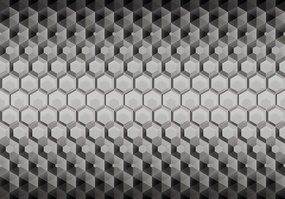 Fototapet - 3D hexagon (254x184 cm)
