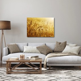 Tablou - Spice de cereale (70x50 cm)