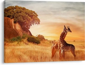 Tablou Girafe în Africa (70x50 cm)