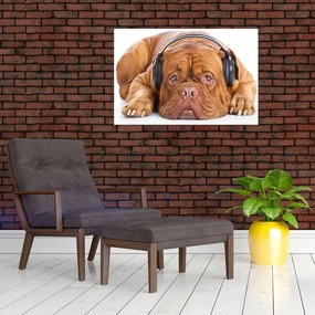 Tablou câinele cu căști (90x60 cm)