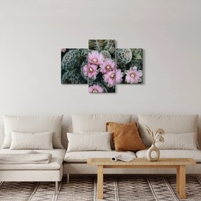 Tablou floare de cactus (90x60 cm)
