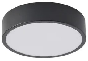Brilagi - Plafonieră LED POOL, 18W/230V, 3000/4500/6000K, Ø 20 cm, negru