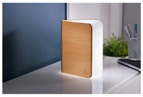 Decorațiune luminoasă în culoare naturală cu USB Booklight – Gingko