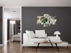 Tablou - Plante suculente (90x60 cm)