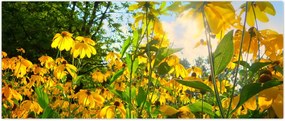 Tablou - Flori galbene (120x50 cm)