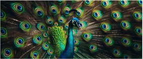 Tablou – Păun (120x50 cm)