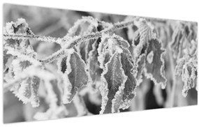 Tablou - Frunze înghețate,alb-negru (120x50 cm)