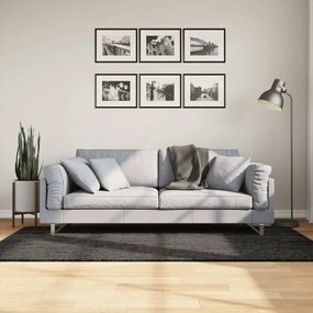 vidaXL Covor ISTAN, cu fire înalte, aspect lucios, antracit, 100x200cm