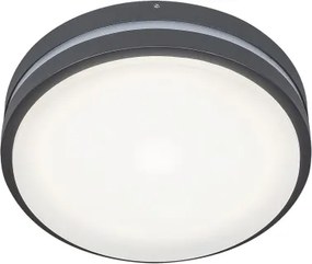 Rabalux 8847 - Aplică perete exterior LED HAMBURG LED/10W/230V IP44