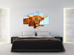 Tablou - Vacă scoțiană (150x105 cm)