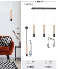 Lustra suspendata stil minimalist Braulia 3L