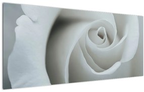 Tablou - Trandafirul alb (120x50 cm), în 40 de alte dimensiuni noi