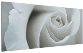 Tablou - Trandafirul alb (120x50 cm)