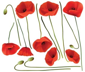 Set autocolante pentru perete Ambiance Vermeil Poppies, 60 x 70 cm